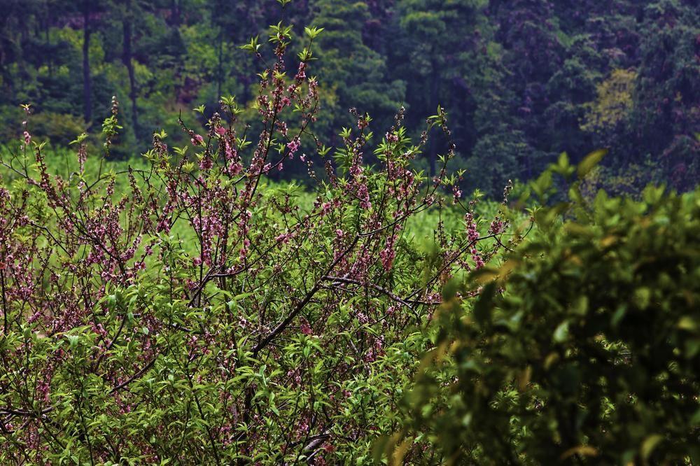 Aloft Nanhai, Foshan Buitenkant foto